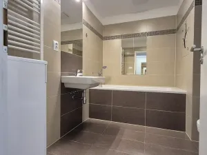 Pronájem bytu 1+kk, Brno, Kigginsova, 42 m2