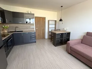 Pronájem bytu 2+kk, Brno - Židenice, Porhajmova, 56 m2