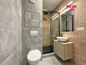 Pronájem bytu 1+kk, České Budějovice - České Budějovice 5, Dobrovodská, 20 m2