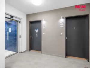 Prodej bytu 1+kk, Praha - Ruzyně, Stočesova, 26 m2