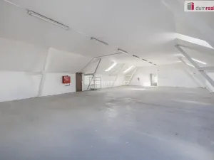 Pronájem výrobních prostor, Doksy, Václ. Plecitého, 4300 m2