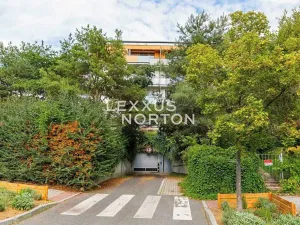 Prodej bytu 1+kk, Praha - Hloubětín, Nepelova, 29 m2