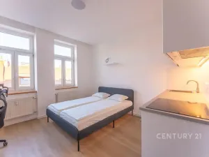 Pronájem bytu 1+kk, Praha - Vinohrady, Perunova, 22 m2