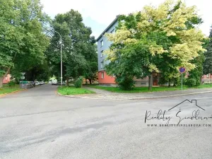 Pronájem bytu 1+1, Přerov, Purkyňova, 41 m2