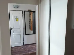 Prodej bytu 3+1, Praha - Žižkov, Buková, 73 m2