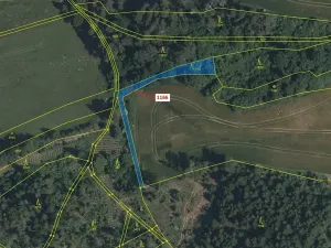 Dražba lesa, Volfířov, 536 m2