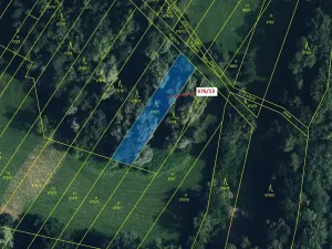 Dražba lesa, Přerov, 1000 m2