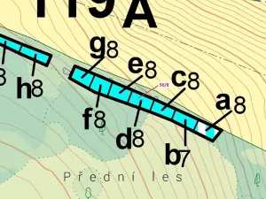 Dražba lesa, Přerov, 385 m2