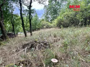 Prodej pozemku pro bydlení, Pyšely - Zaječice, 2037 m2