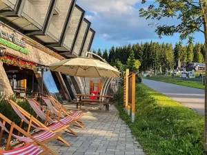 Prodej bytu 1+kk, Loučná pod Klínovcem, 33 m2