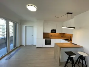 Pronájem bytu 3+kk, Praha - Řeporyje, Haenkeho, 80 m2