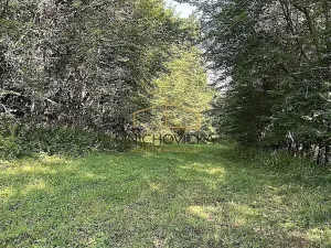 Prodej sadu/vinice, Ondřejov, Břeský vrch, 3453 m2