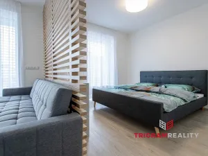 Pronájem bytu 2+kk, Hradec Králové - Nový Hradec Králové, Antonína Petrofa, 45 m2