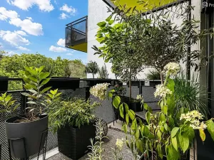 Prodej bytu 3+kk, Brno, Podveská, 69 m2