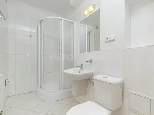 Pronájem bytu 1+1, Blovice, Americká, 37 m2
