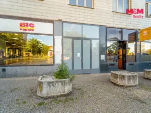 Pronájem bytu 1+1, Plzeň - Jižní Předměstí, Goethova, 34 m2