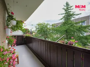 Prodej bytu 3+1, Senice na Hané, Vodní, 79 m2