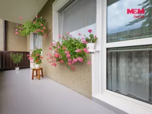 Prodej bytu 3+1, Senice na Hané, Vodní, 79 m2