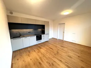 Pronájem bytu 2+kk, Praha - Nusle, Závišova, 41 m2