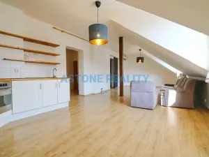 Pronájem bytu 1+kk, Praha - Břevnov, Hošťálkova, 54 m2