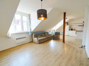 Pronájem bytu 1+kk, Praha - Břevnov, Hošťálkova, 54 m2