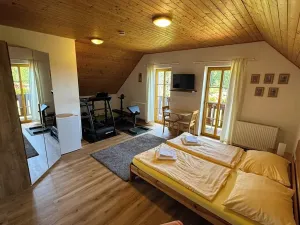 Prodej rodinného domu, Nové Hutě, 300 m2