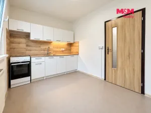 Pronájem bytu 1+1, Radvanice, 39 m2