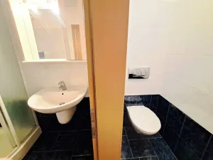 Pronájem obchodního prostoru, Tečovice, 706 m2