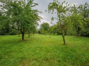 Prodej pozemku pro bydlení, Loštice, 3456 m2