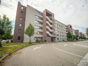 Prodej bytu 2+kk, Brno, Řípská, 52 m2