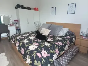Pronájem bytu 2+kk, Svitavy, Svitavská, 50 m2
