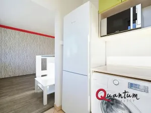 Prodej bytu 1+kk, Praha - Chodov, Ledvinova, 30 m2