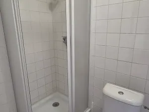 Pronájem bytu 1+1, Praha - Vinohrady, Vinohradská, 49 m2