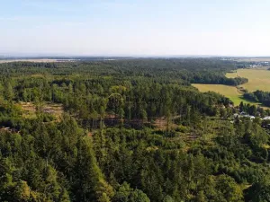 Pronájem chaty, Jevany, Ve Smrčinách, 85 m2