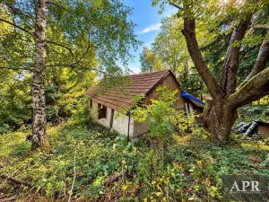 Prodej pozemku pro bydlení, Lopeník, 6165 m2