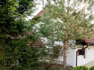 Prodej chalupy, Podmokly, 98 m2