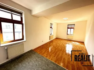 Pronájem bytu 1+kk, Praha - Žižkov, Seifertova, 50 m2