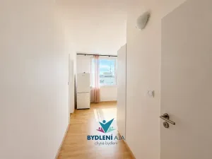 Prodej bytu 1+1, Krupka, Karla Čapka, 36 m2