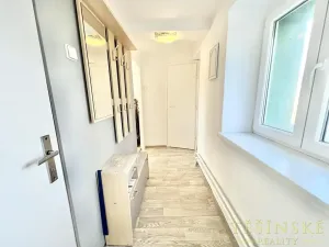 Pronájem bytu 1+1, Český Těšín, Sídliště ONV, 30 m2