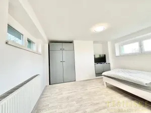 Pronájem bytu 1+1, Český Těšín, Sídliště ONV, 30 m2