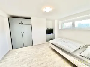 Pronájem bytu 1+1, Český Těšín, Sídliště ONV, 30 m2