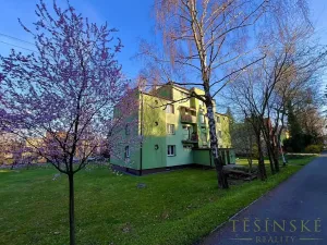 Pronájem bytu 1+1, Český Těšín, Sídliště ONV, 30 m2
