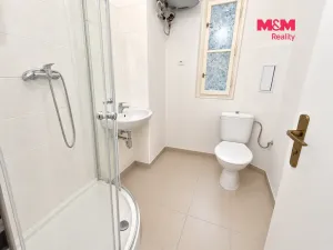 Prodej bytu 1+kk, Praha - Michle, Hanusova, 29 m2