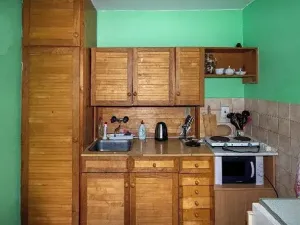 Dražba rodinného domu, Velká Losenice, 64 m2
