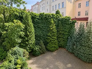 Pronájem bytu 2+1, Praha - Vinohrady, Belgická, 74 m2