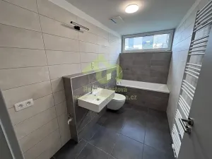 Pronájem bytu 1+kk, Dobřany, Denksteinova, 86 m2