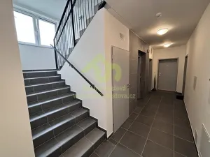 Pronájem bytu 1+kk, Dobřany, Denksteinova, 86 m2
