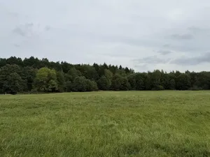 Prodej pole, Nové Město pod Smrkem, 8555 m2