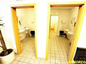 Pronájem kanceláře, Brno, Příkop, 20 m2