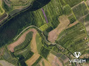 Prodej podílu zahrady, Kobeřice u Brna, 877 m2